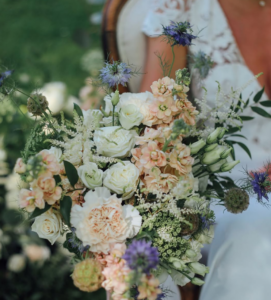 Pauline Franque Photography